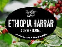 Ethiopia Harrar - Conventional