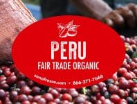 Peru FTO