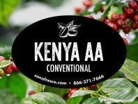 Kenya AA - Conventional