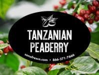 Tanzanian Peaberry