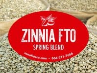 Zinnia FTO Spring blend