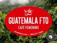 Guatemala Café Femenino FTO