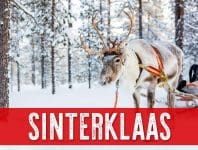 Sonofresco™ Sinterklaas Christmas Blend